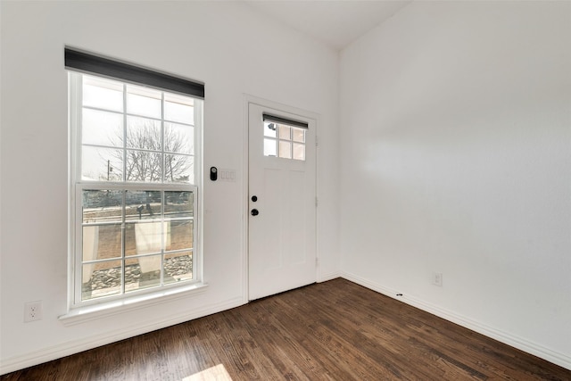 entryway featuring dark hardwood / wood-style flooring