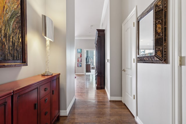 corridor featuring crown molding and dark hardwood / wood-style flooring