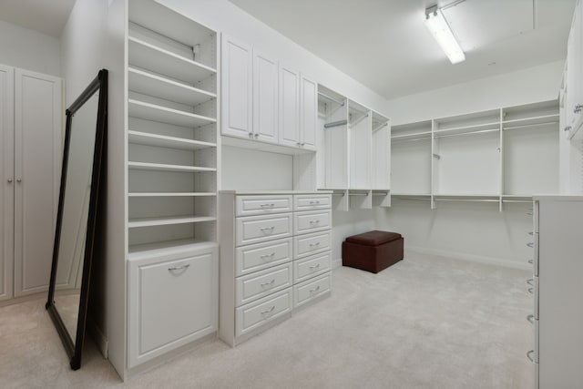 spacious closet featuring light carpet