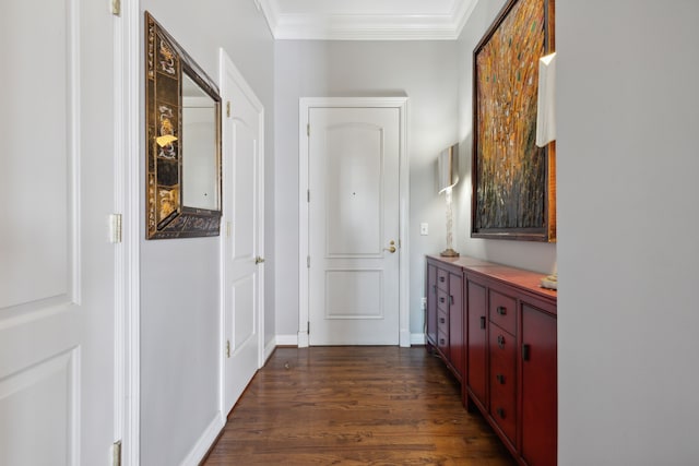 corridor featuring crown molding and dark wood-type flooring