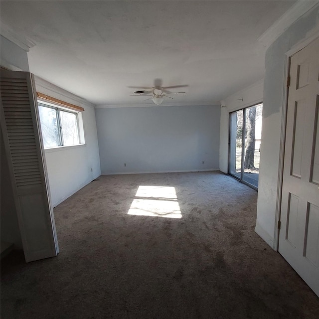 empty room with a wealth of natural light, ceiling fan, and carpet flooring