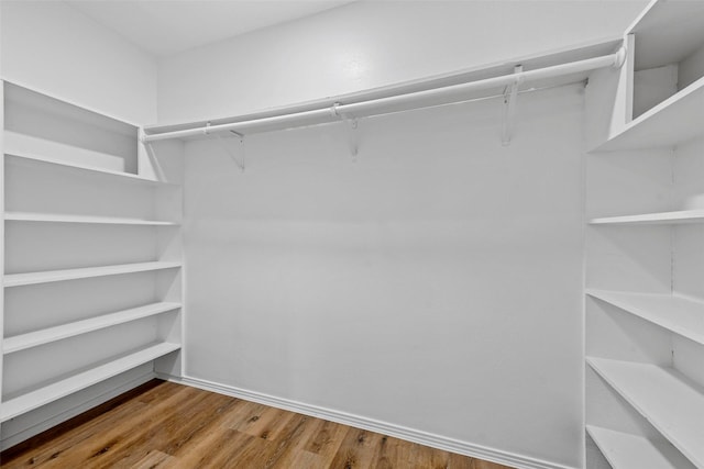 spacious closet with wood-type flooring