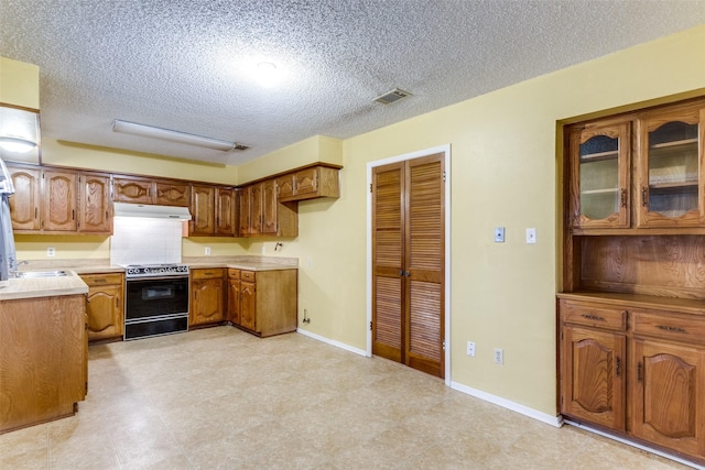 kitchen with sink, a textured ceiling, and range