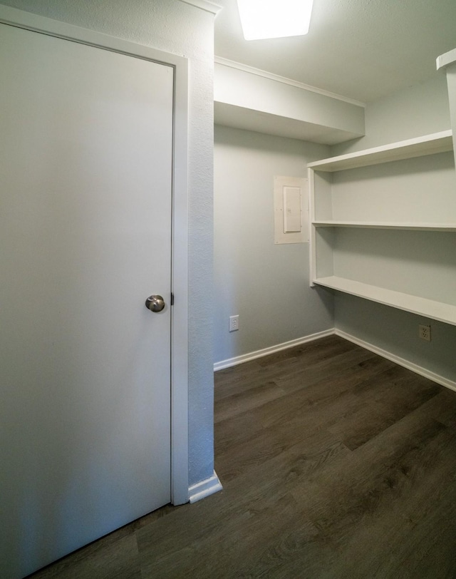 spacious closet with dark hardwood / wood-style floors