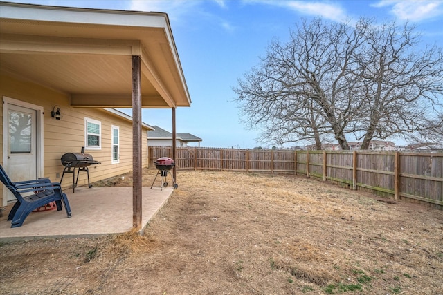 view of yard featuring a patio area