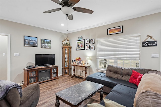 living room featuring crown molding, ceiling fan, and light wood-type flooring