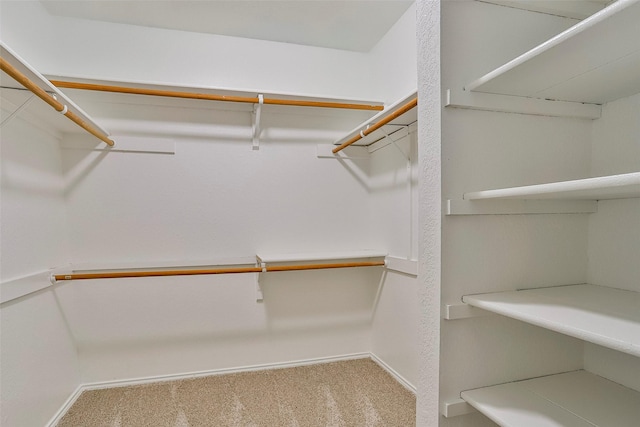 spacious closet with carpet floors