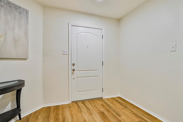 entryway featuring wood-type flooring