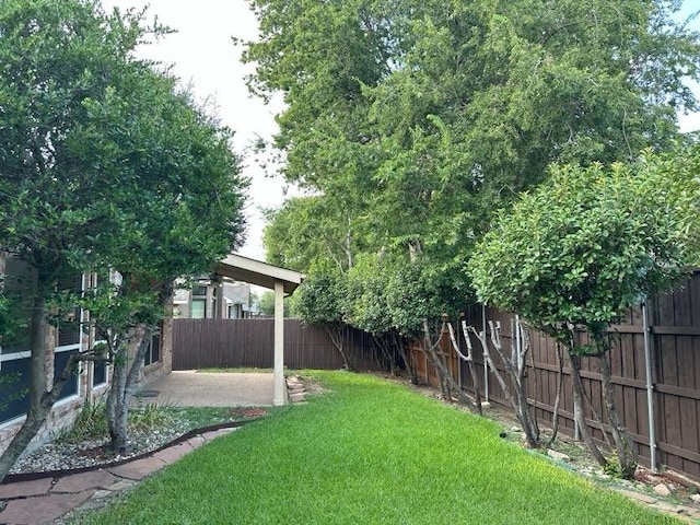 view of yard with a patio