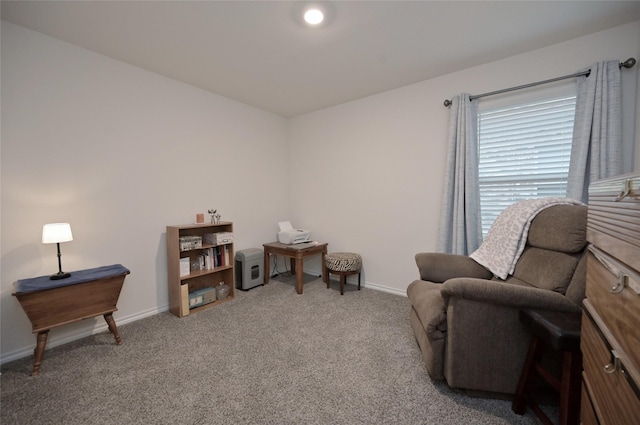 living area featuring carpet floors