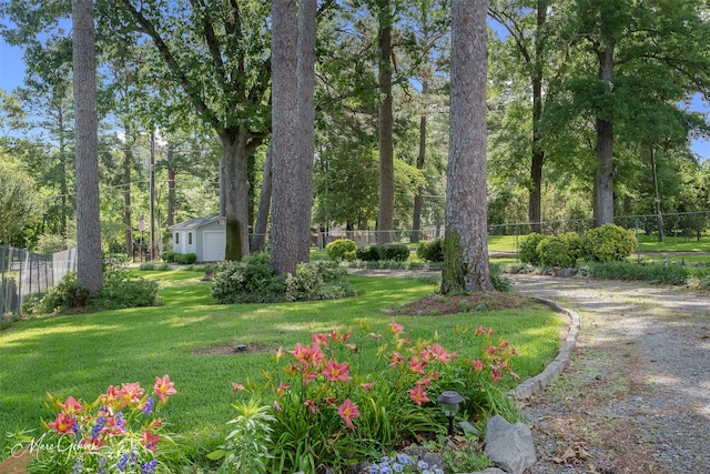 view of yard