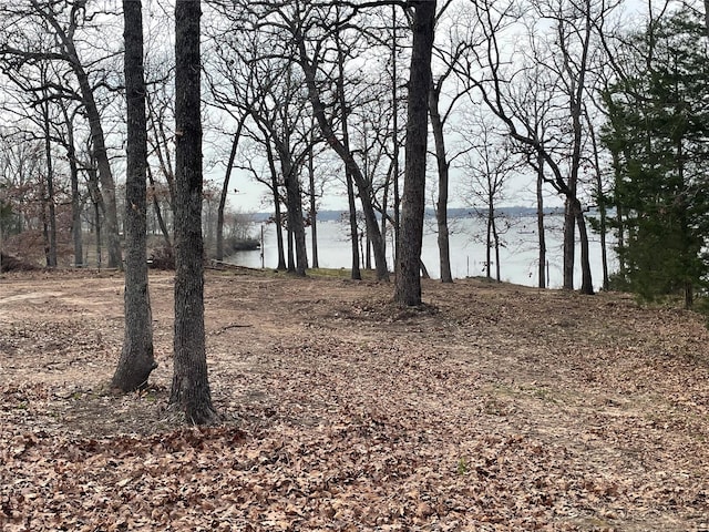 Listing photo 2 for TBD Indian Gap Rd, Quitman TX 75783