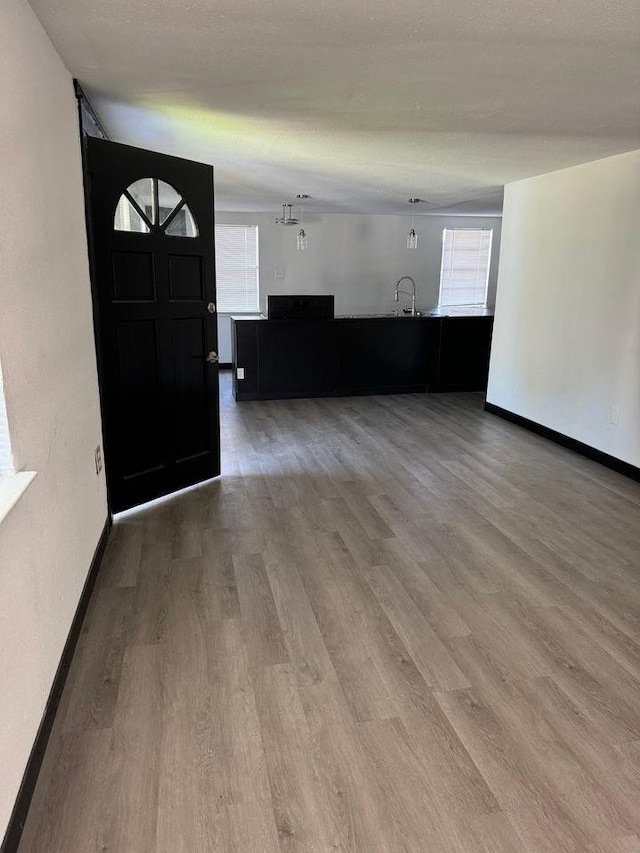 entryway featuring hardwood / wood-style flooring, sink, and a textured ceiling