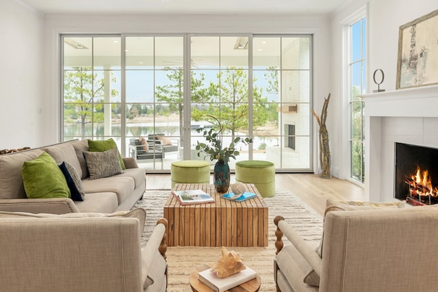 living room with a water view and light hardwood / wood-style flooring