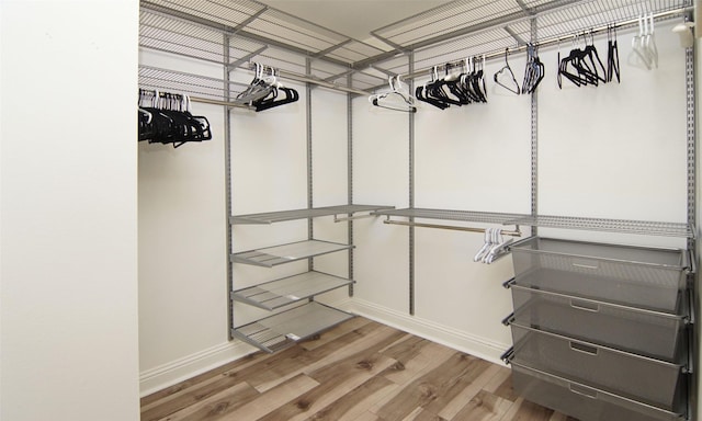 spacious closet featuring hardwood / wood-style floors