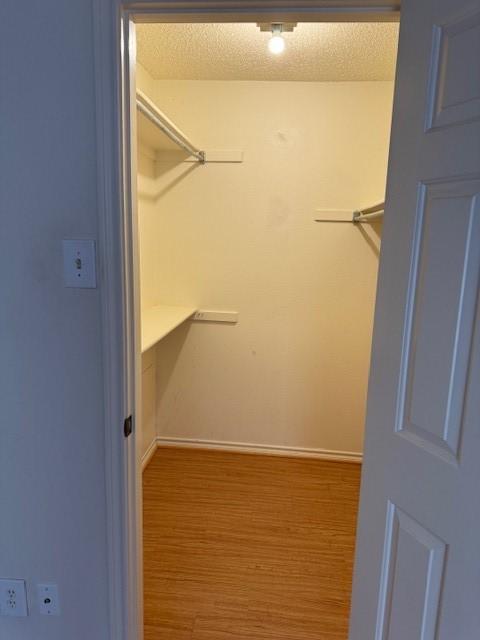 walk in closet featuring wood-type flooring