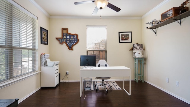 home office featuring ceiling fan, ornamental molding, and dark hardwood / wood-style floors