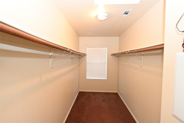 spacious closet featuring carpet floors