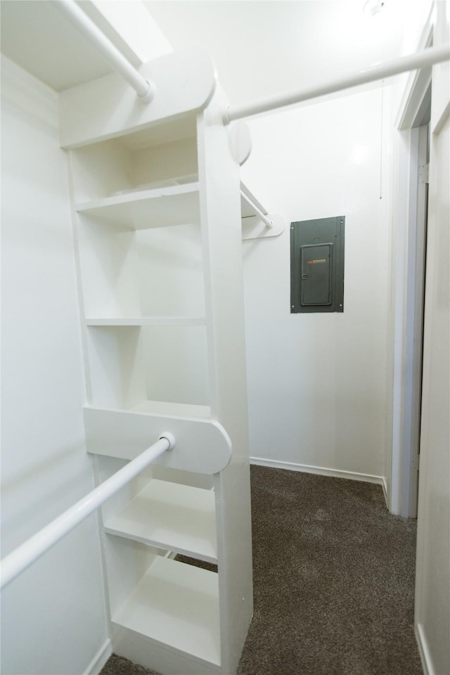 walk in closet featuring electric panel and dark colored carpet