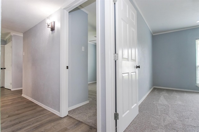 hall featuring ornamental molding and wood-type flooring