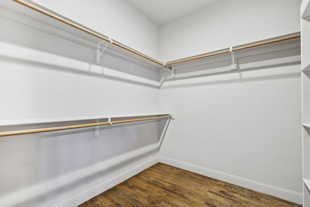 walk in closet featuring hardwood / wood-style floors