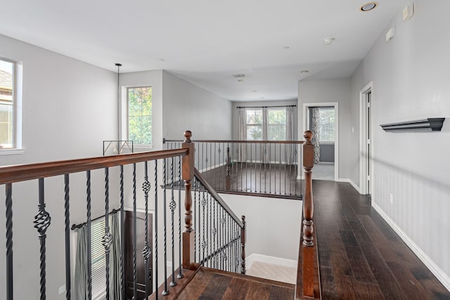 hall featuring dark hardwood / wood-style floors and a wealth of natural light