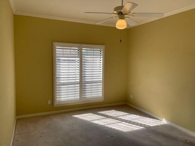 spare room featuring crown molding, ceiling fan, and carpet