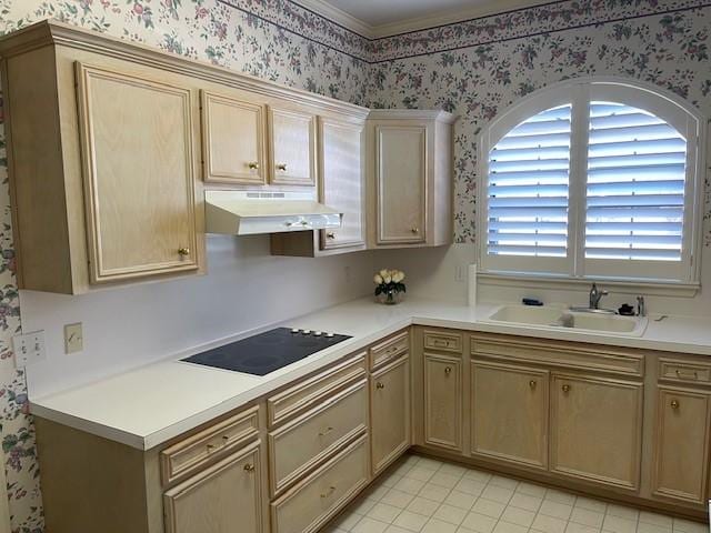 kitchen featuring black electric cooktop, sink, and light brown cabinetry