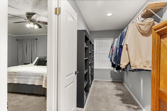 bedroom featuring ceiling fan, carpet flooring, and a textured ceiling