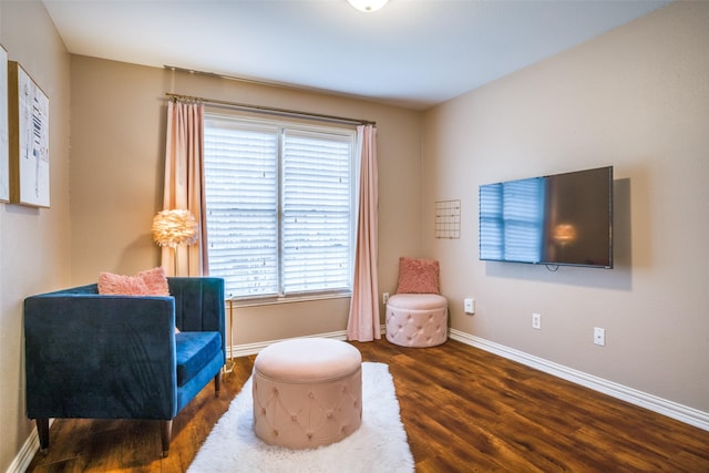 sitting room with wood-type flooring