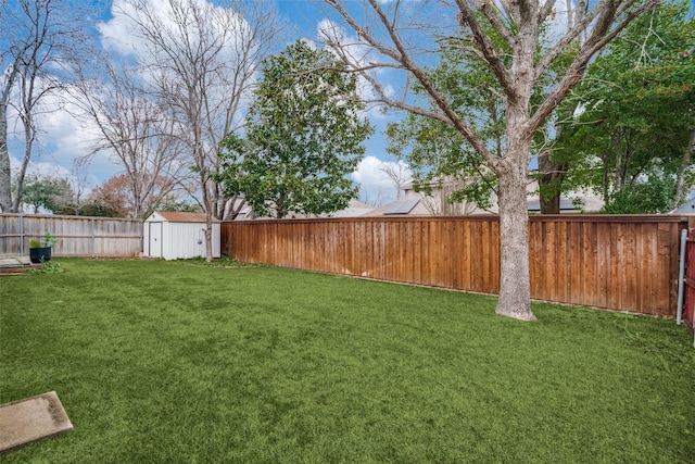 view of yard with a shed