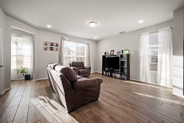 living room featuring hardwood / wood-style floors