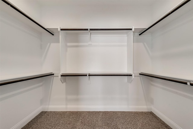 walk in closet featuring carpet flooring