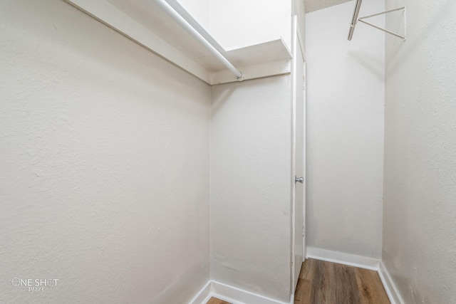 spacious closet with hardwood / wood-style floors