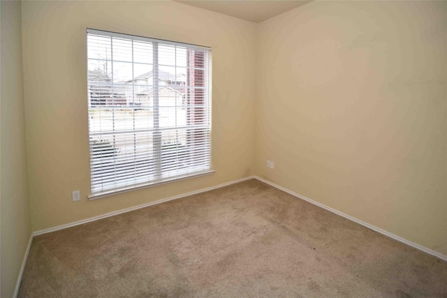 unfurnished room featuring carpet flooring