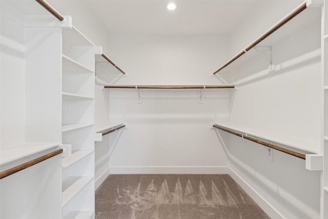 walk in closet with light carpet