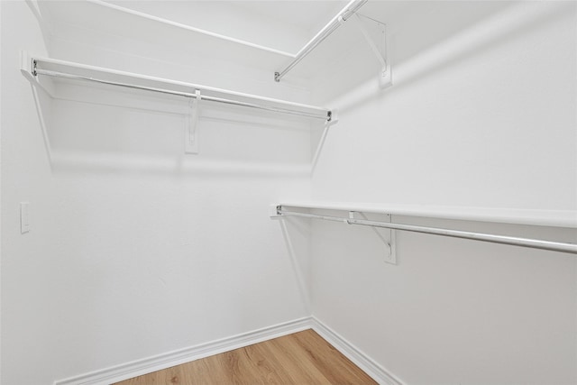 walk in closet featuring wood-type flooring