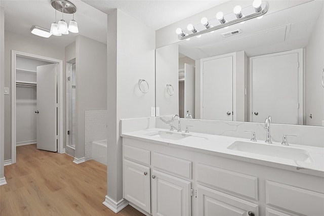 bathroom with vanity and hardwood / wood-style floors