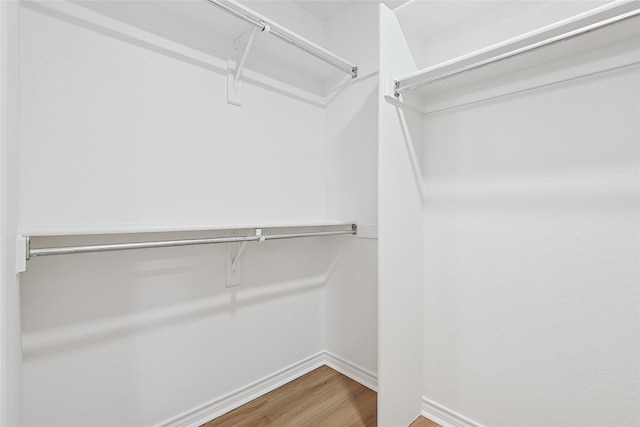 walk in closet featuring wood-type flooring