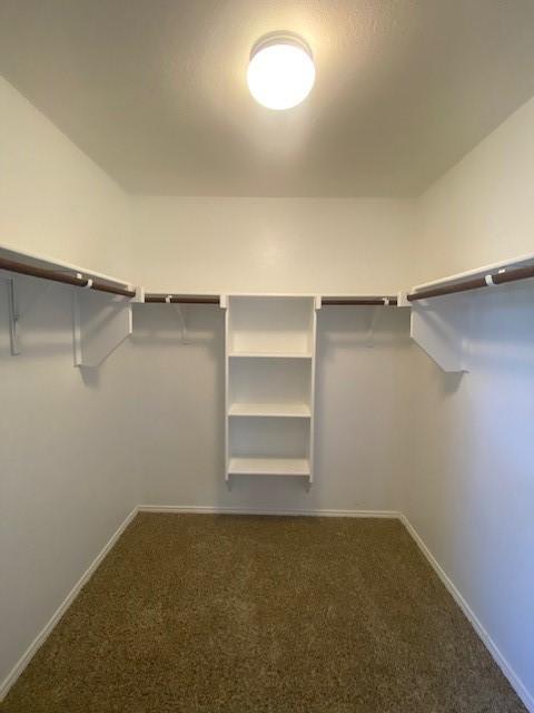 14029 Coyote Trl, Fort Worth, TX 76052 - spacious closet featuring carpet floors