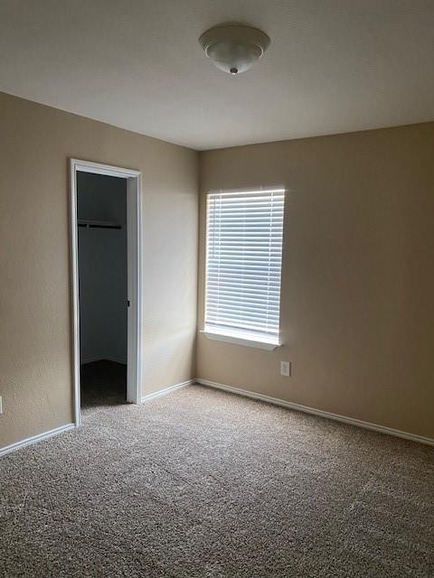 unfurnished bedroom featuring a spacious closet, a closet, and carpet flooring