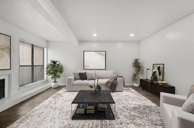 living room featuring dark hardwood / wood-style floors