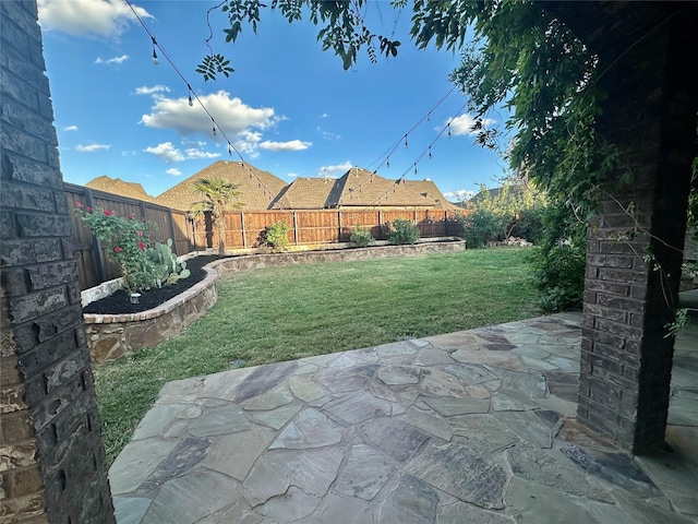 view of yard with a patio area