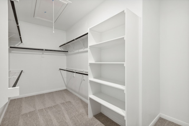 walk in closet featuring light carpet