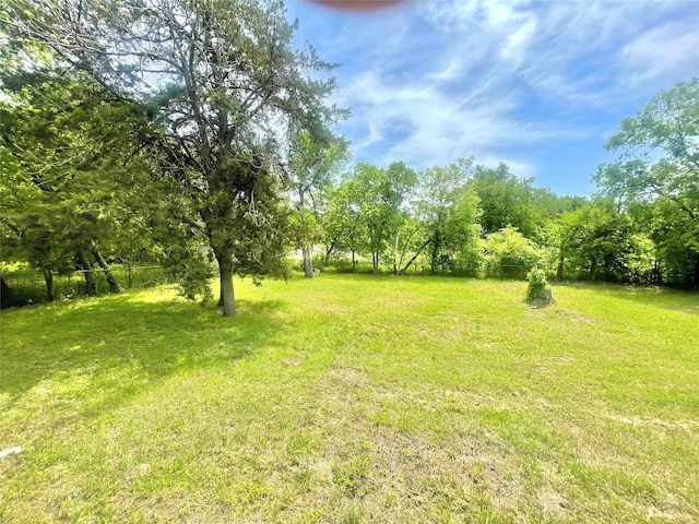 1511 W 13th Ave, Corsicana, TX 75110 - view of green lawn