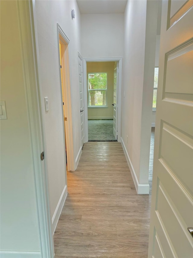 hall featuring light hardwood / wood-style floors