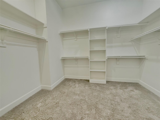 walk in closet with light colored carpet