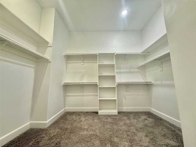 walk in closet with carpet