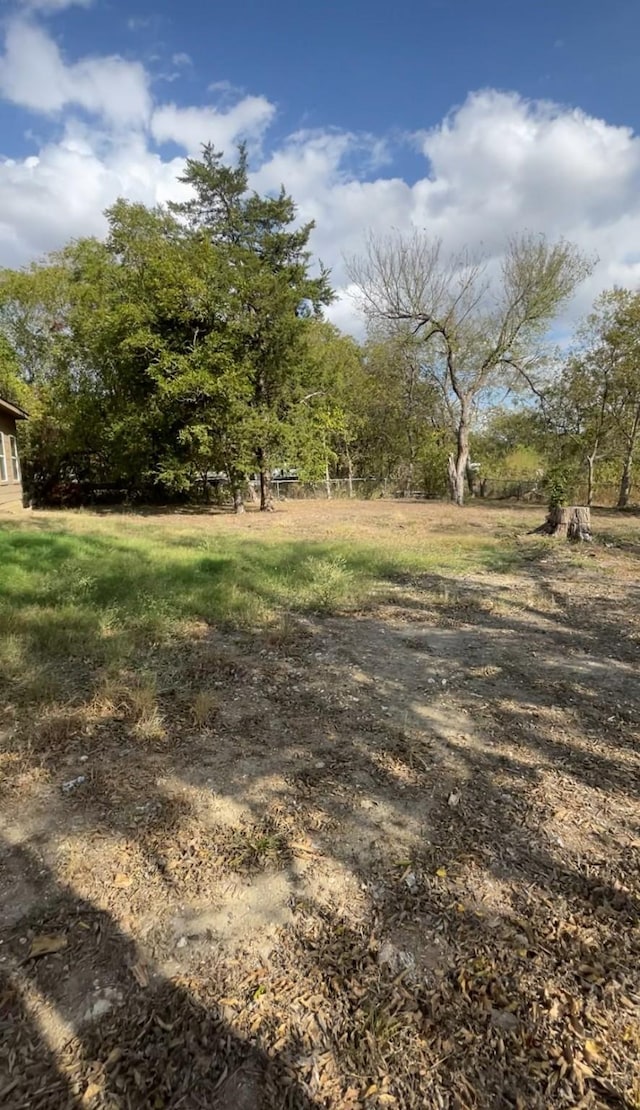 view of local wilderness