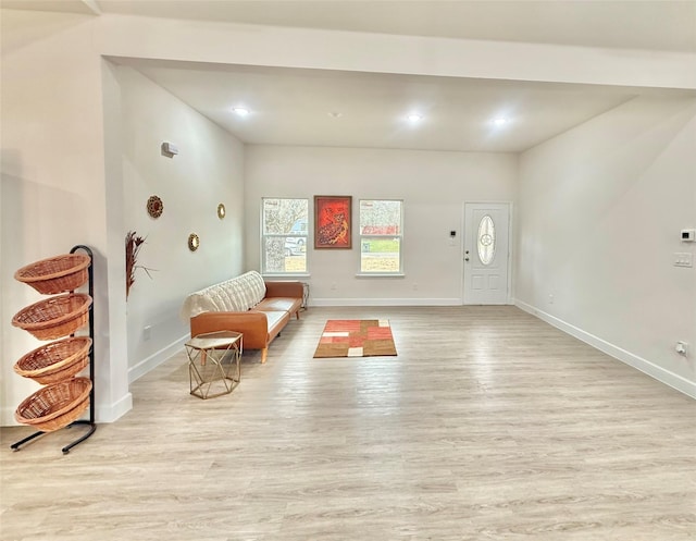 foyer entrance featuring light hardwood / wood-style flooring